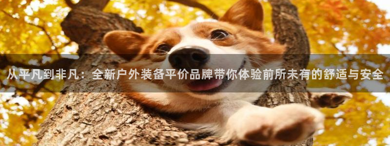 新宝gg平台连接