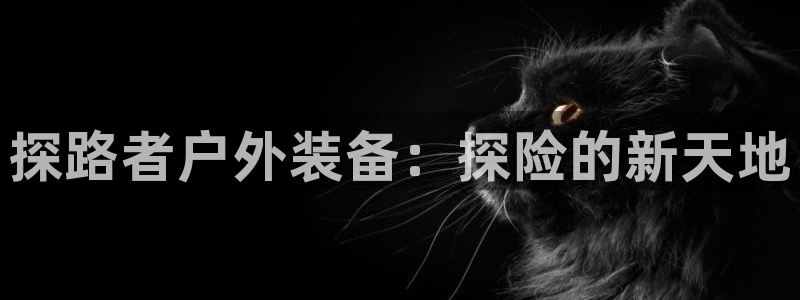 新宝gg主管111