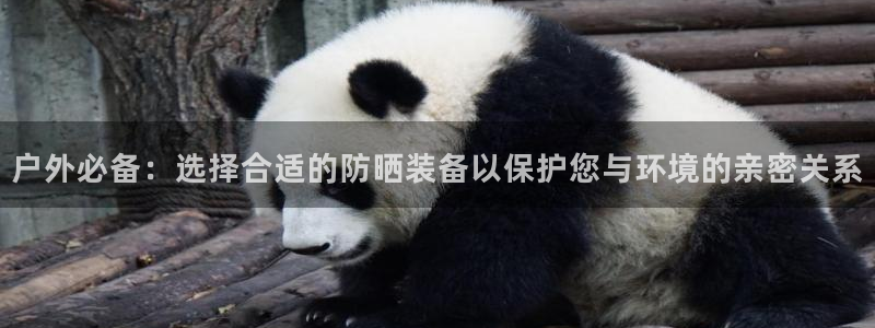 新宝gg娱乐官网