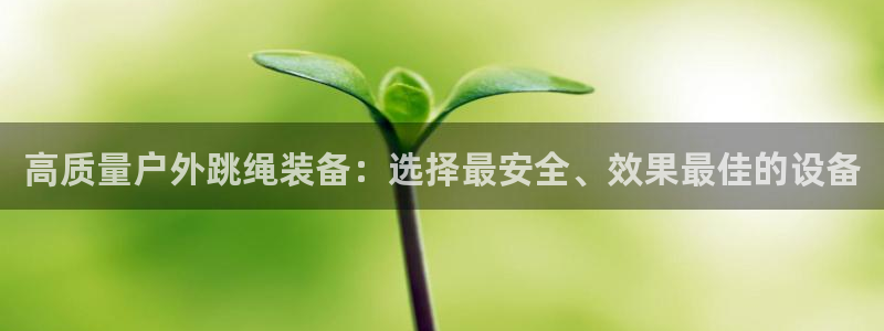 新宝娱乐gg