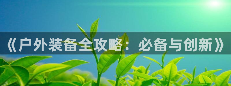 网站是新宝gg