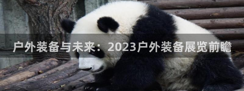 新宝gg有规律么