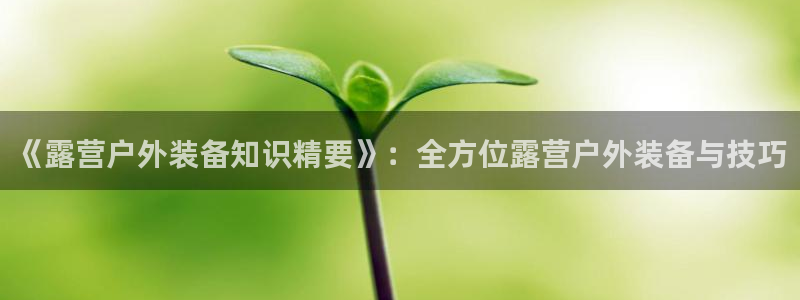新宝GG都有哪些计划