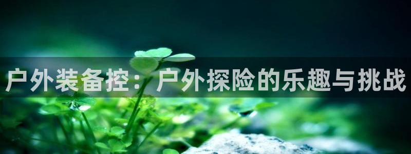 新宝gg怎么样