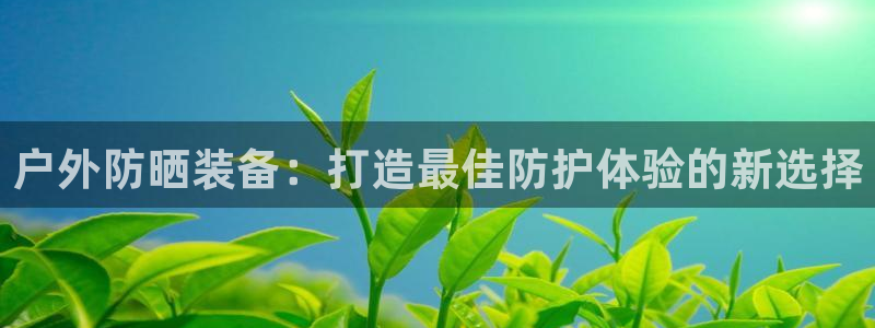 新宝gg用哪个浏览器