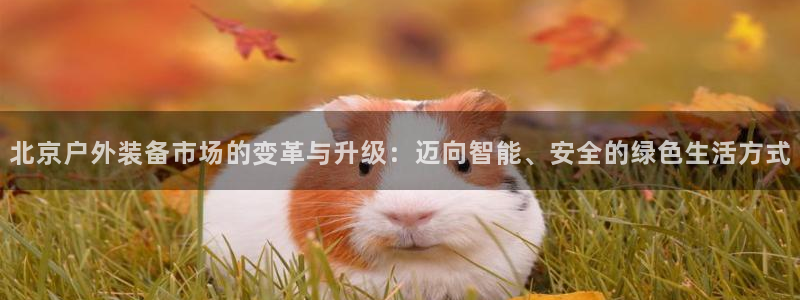 新宝gg开奖结果