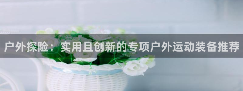 怎么下载新宝gg