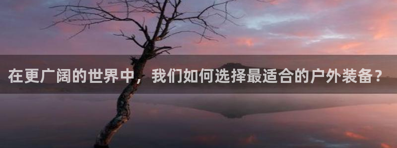 新宝gg客户登录