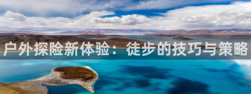 新宝gg登录链接