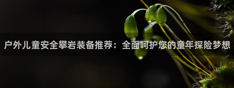 新宝gg如何注册登录