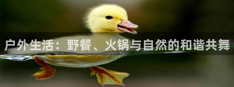 新宝gg真的能赚钱么