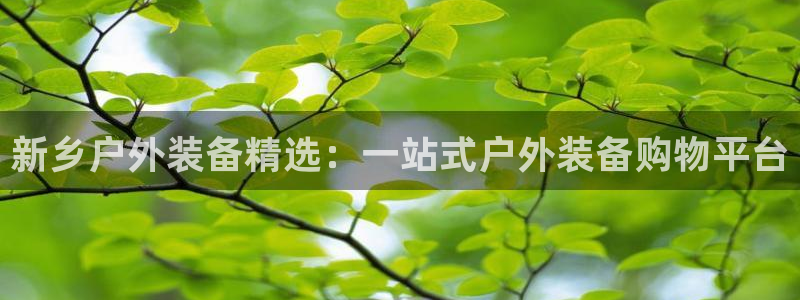新宝GG正规78778