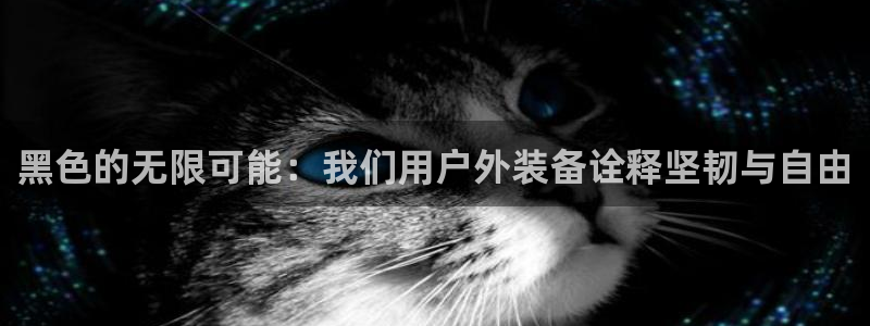 新宝gg资料