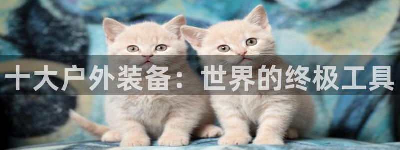 新宝gg 平台怎么样