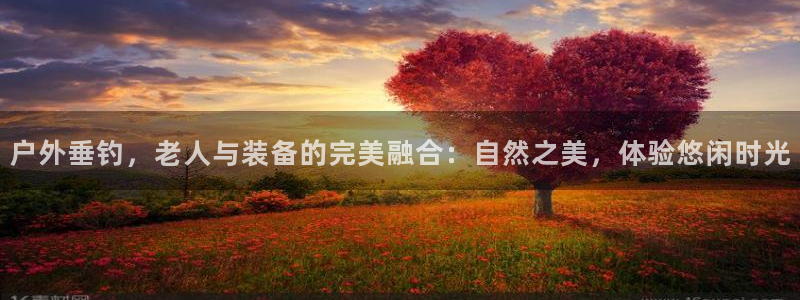 新宝给gg