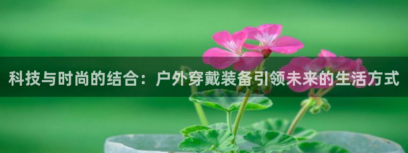 新宝GG上级