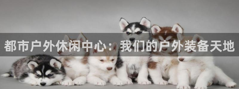 新宝gg官网