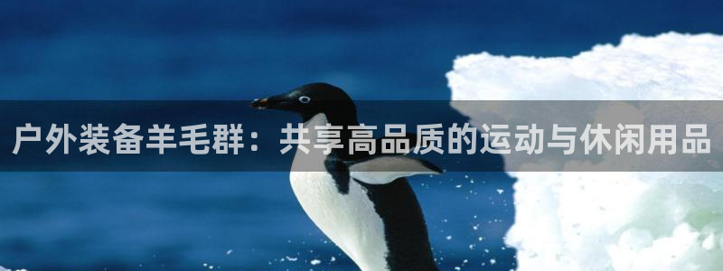 新宝新宝gg开户流程