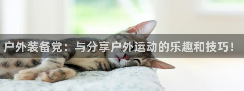 新宝GG上级