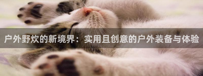 新宝gg什么