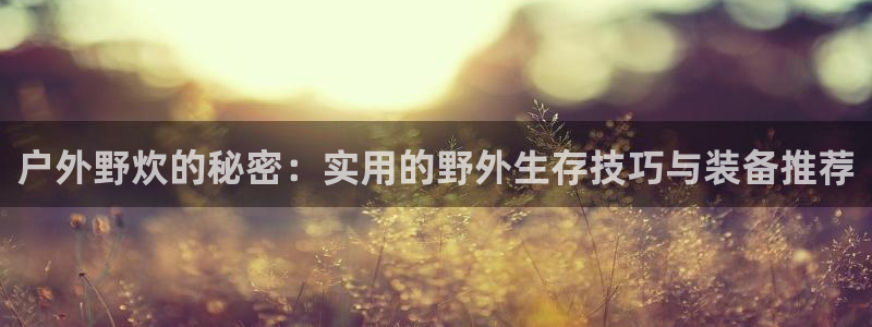 新宝gg娱乐vovq