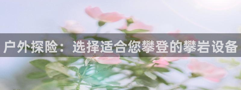 新宝gg手机助手