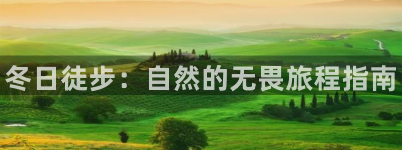 新宝gg如何做到总代理