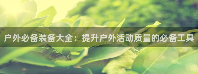 新宝gg登