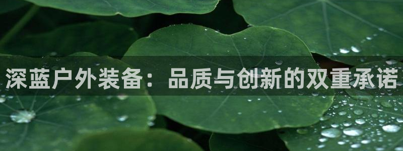 新宝新宝gg开户流程