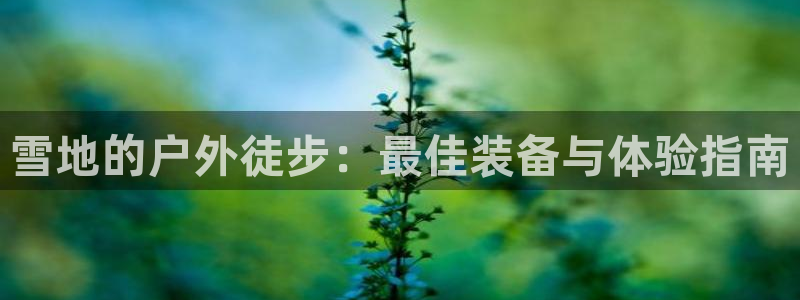 新宝gg创造奇迹平台
