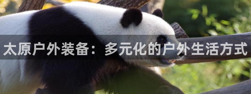 新宝gg如何登录