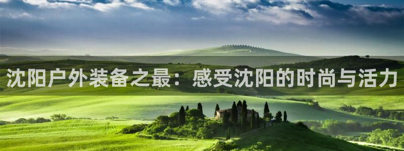 新宝GG管理