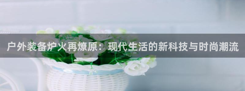 新宝GG冰冰