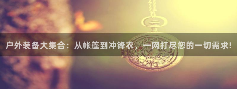 正版新宝gg