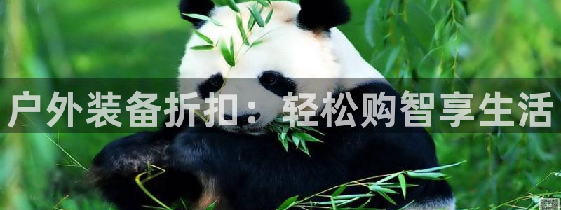 新宝gg返点模式