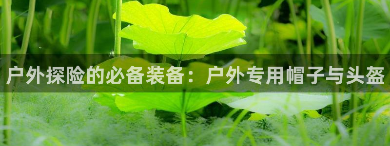 新宝gg-