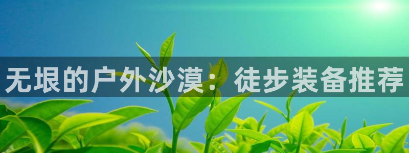 新宝gg登陆