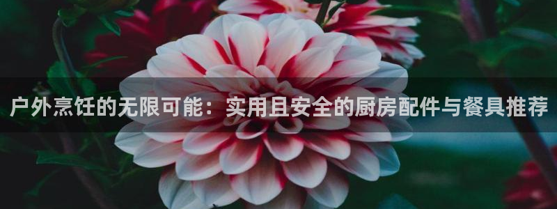 新宝集团gg
