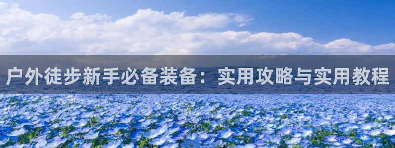新宝gg挂机软件下载