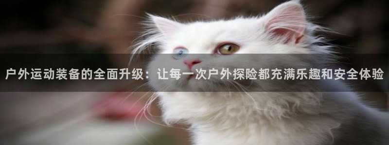 新宝gg手机登录官网