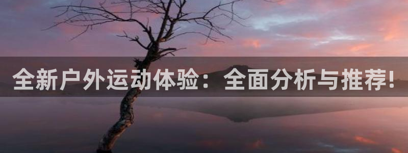 新宝gg公司