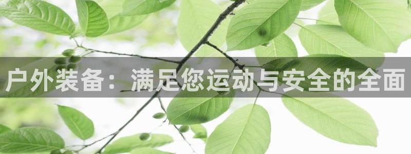 新宝gg试玩