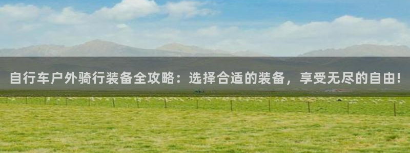 新宝gg总代理