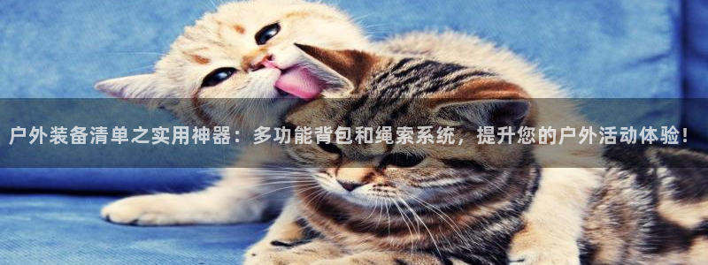 新宝GG娱