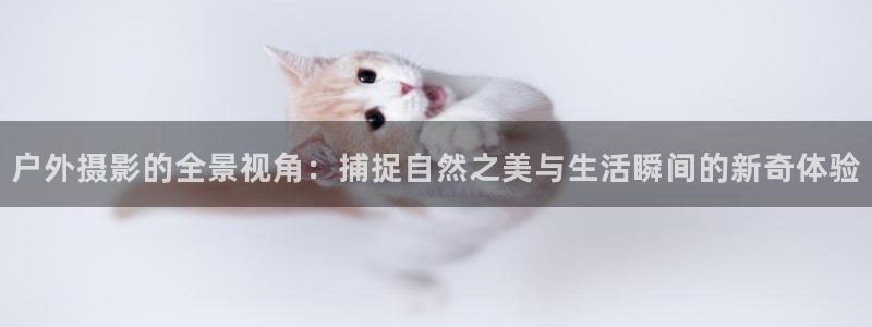 新宝GG嗽78778