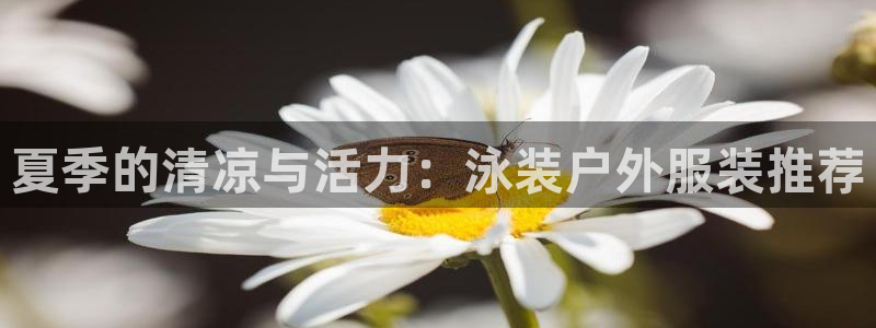 新宝gg招商