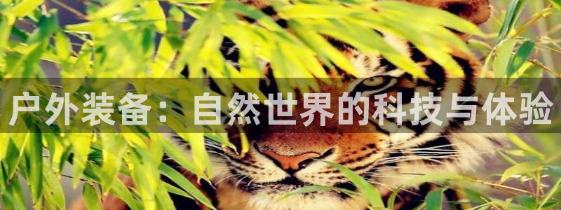 新宝gg游戏平台