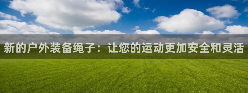 新宝gg游戏登录