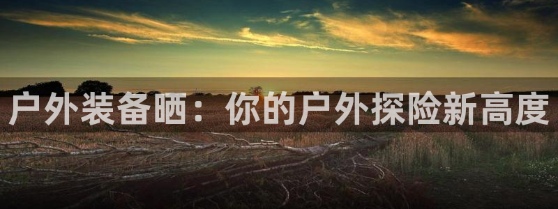 新宝gg平台q891465