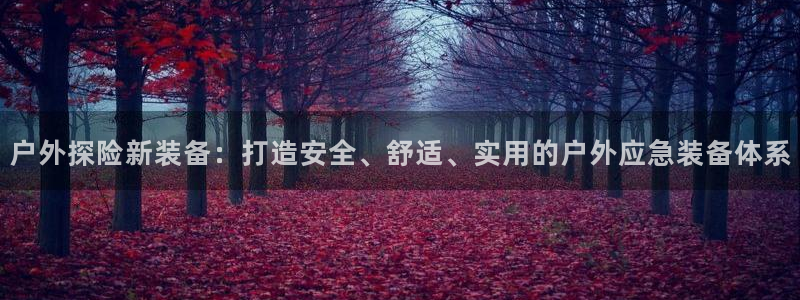 新宝gg一创造奇迹